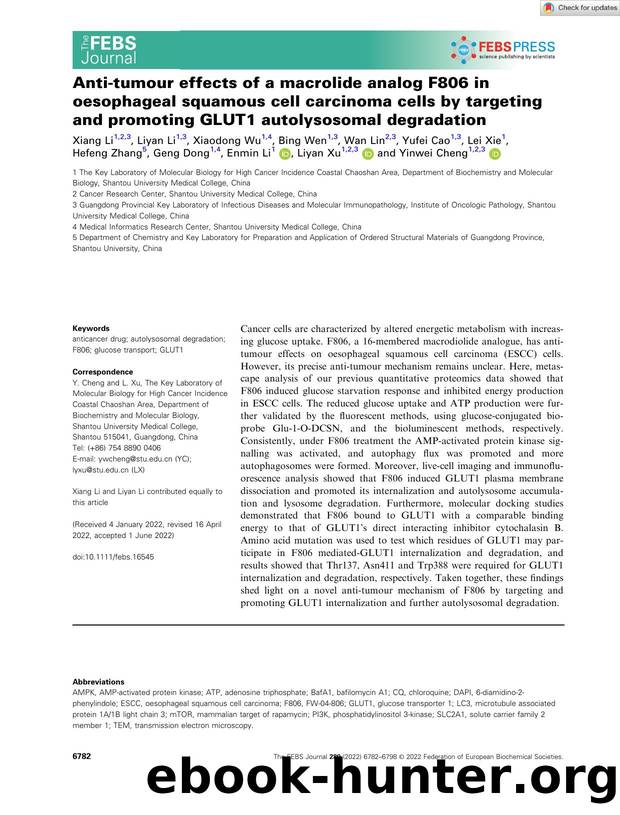 Antiâtumour effects of a macrolide analog F806 in oesophageal squamous cell carcinoma cells by targeting and promoting GLUT1 autolysosomal degradation by Unknown