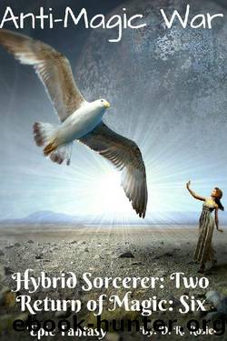 Anti-Magic War: Hybrid Sorcerer: Book Two - Return of Magic: Book Six by D. R. Rosier