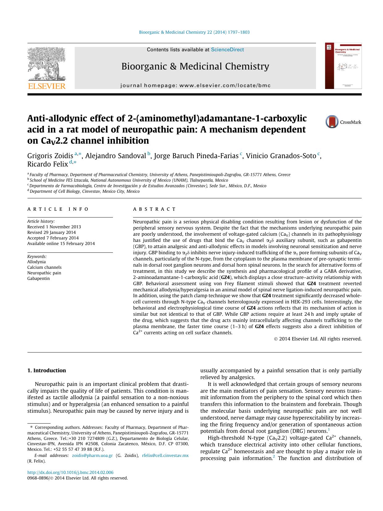Anti-allodynic effect of 2-(aminomethyl)adamantane-1-carboxylic acid in a rat model of neuropathic pain: A mechanism dependent on CaV2.2 channel inhibition by unknow