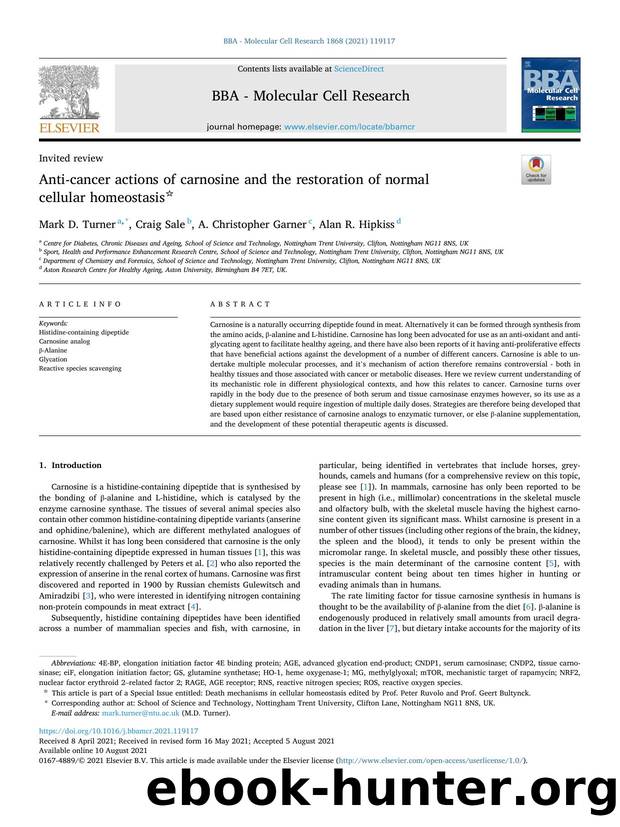 Anti-cancer actions of carnosine and the restoration of normal cellular homeostasis by Mark D. Turner & Craig Sale & A. Christopher Garner & Alan R. Hipkiss