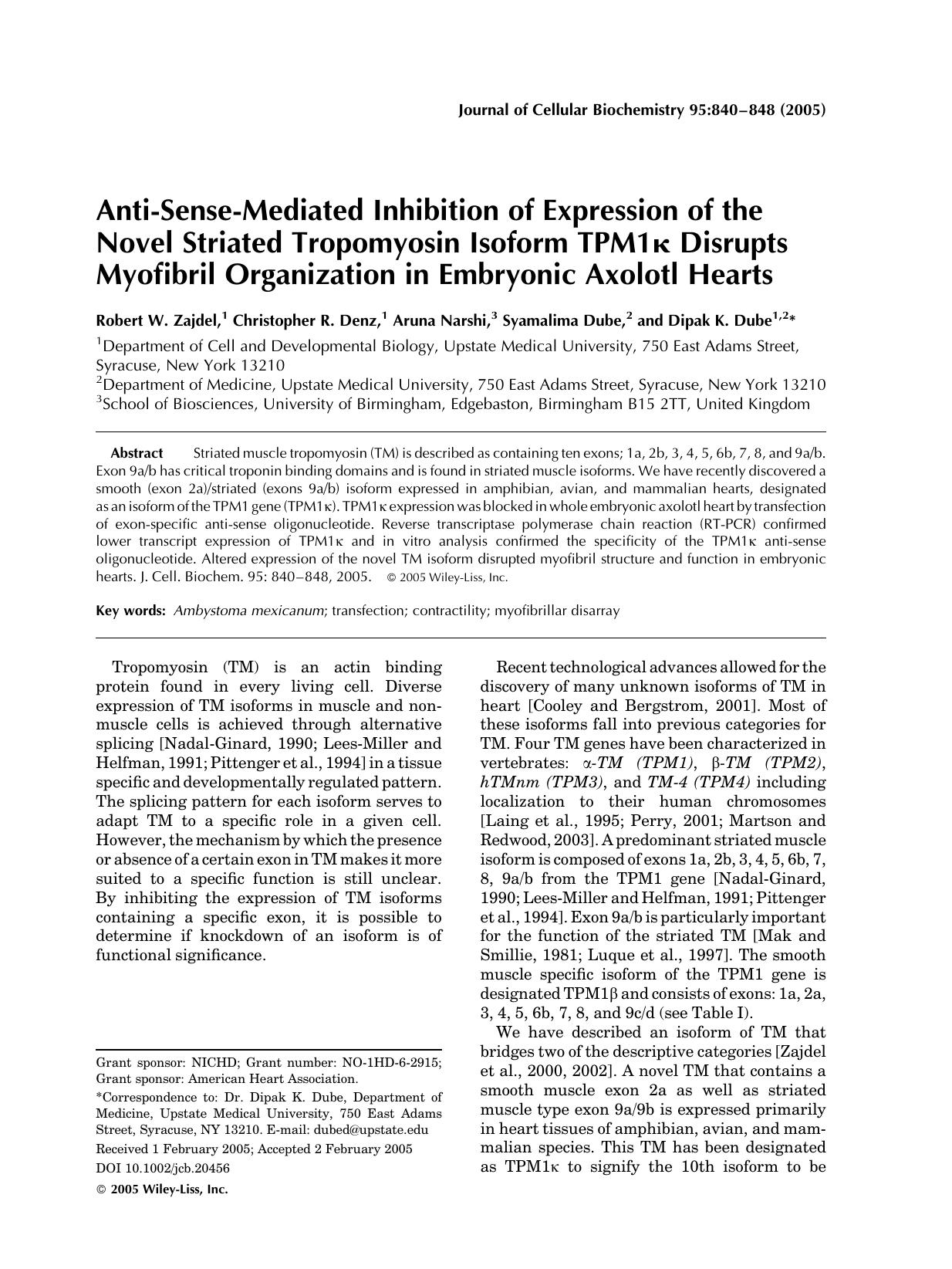 Anti-sense-mediated inhibition of expression of the novel striated tropomyosin isoform TPM1[kappa] disrupts myofibril organization in embryonic axolotl hearts by Unknown