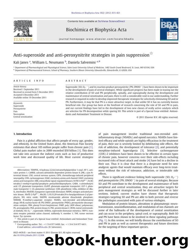 Anti-superoxide and anti-peroxynitrite strategies in pain suppression by Kali Janes & William L. Neumann & Daniela Salvemini