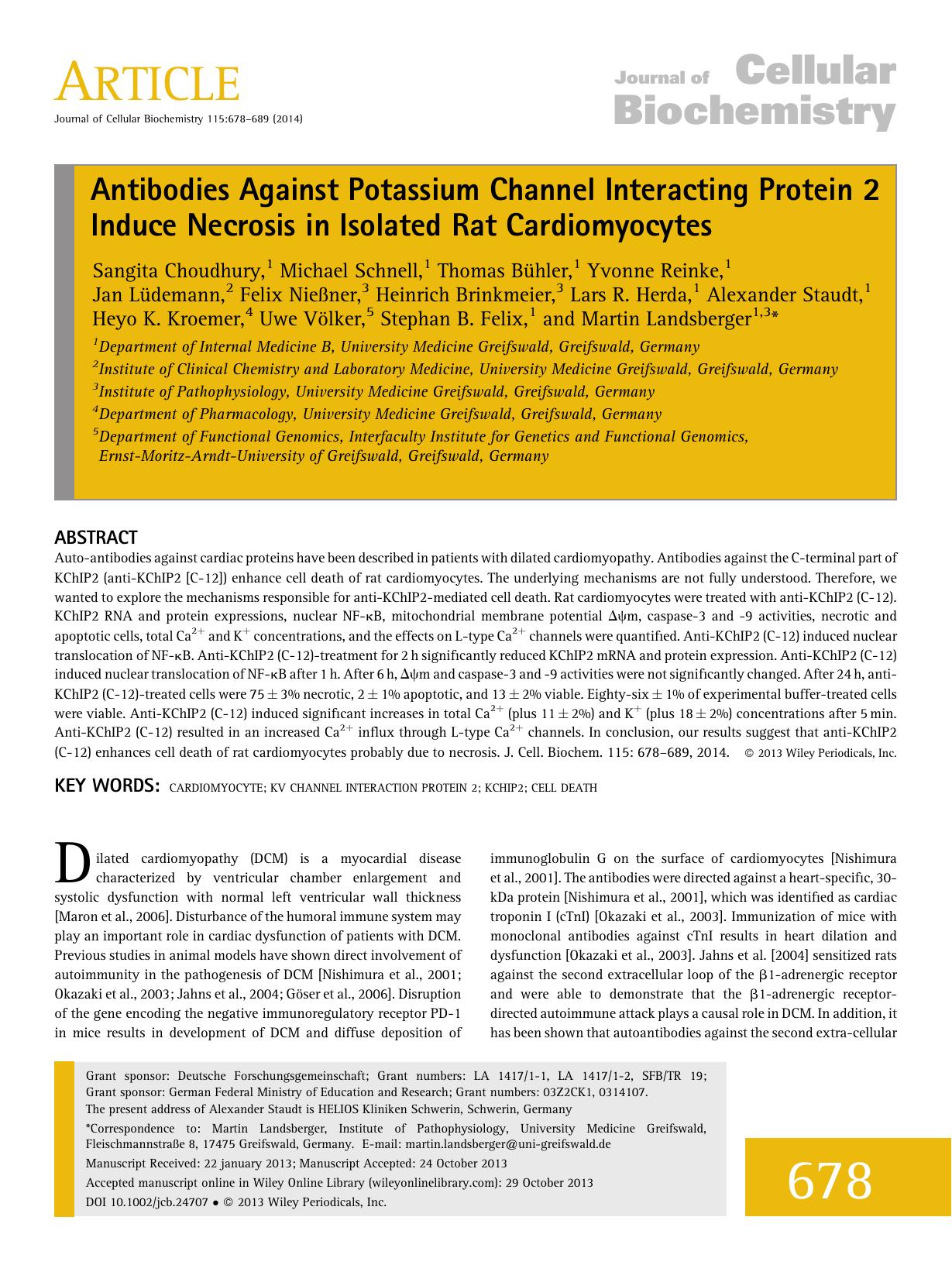 Antibodies Against Potassium Channel Interacting Protein 2 Induce Necrosis in Isolated Rat Cardiomyocytes by Unknown