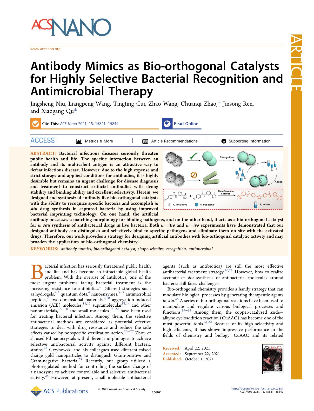 Antibody Mimics as Bio-orthogonal Catalysts for Highly Selective Bacterial Recognition and Antimicrobial Therapy by Jingsheng Niu Liangpeng Wang Tingting Cui Zhao Wang Chuanqi Zhao Jinsong Ren and Xiaogang Qu