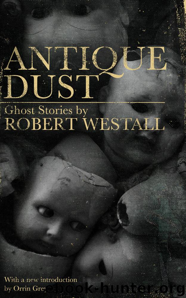 Antique Dust by Robert Westall