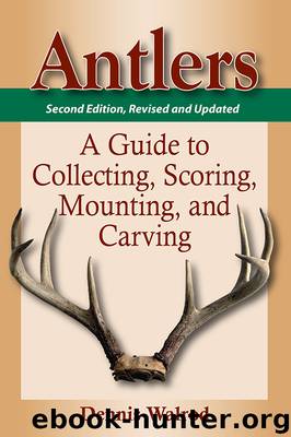 Antlers by Dennis Walrod
