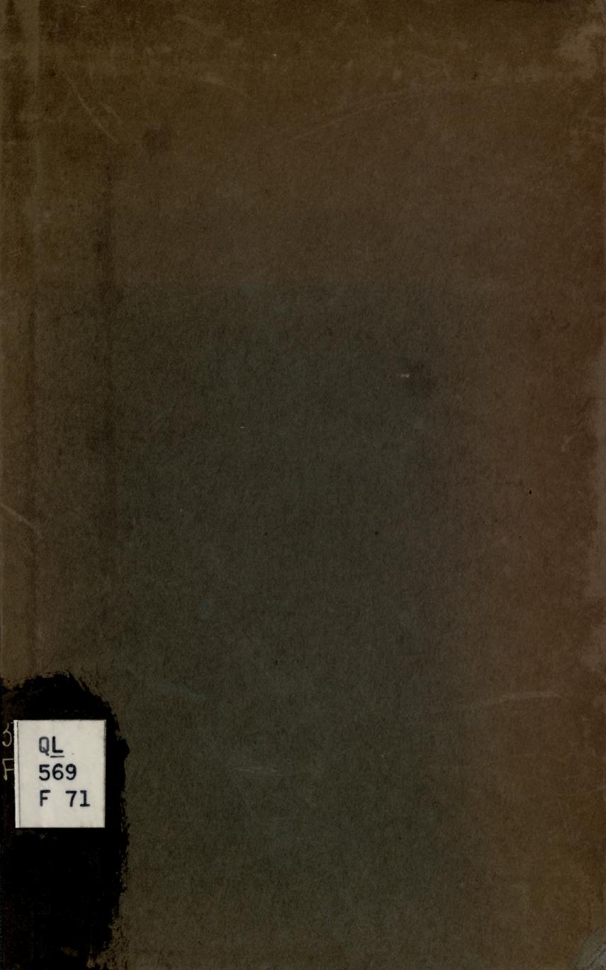 Ants and some other Insects - An Inquiry into the Psychic Powers of these Animals by Auguste Forel William Morton Wheeler (trad.)
