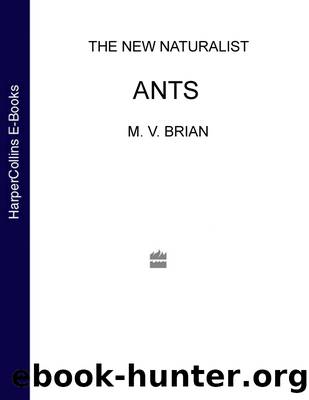 Ants by M. V. Brian