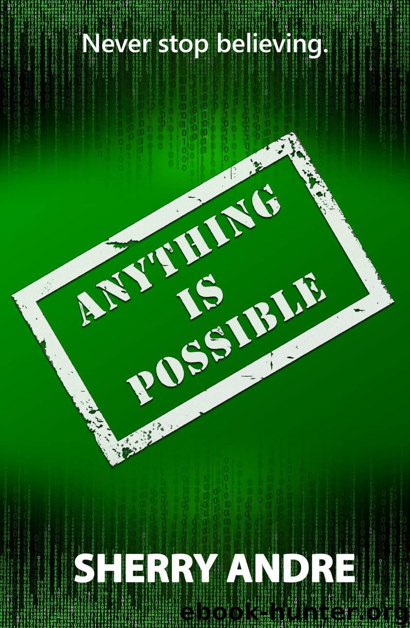 Anything Is Possible by sherry andre