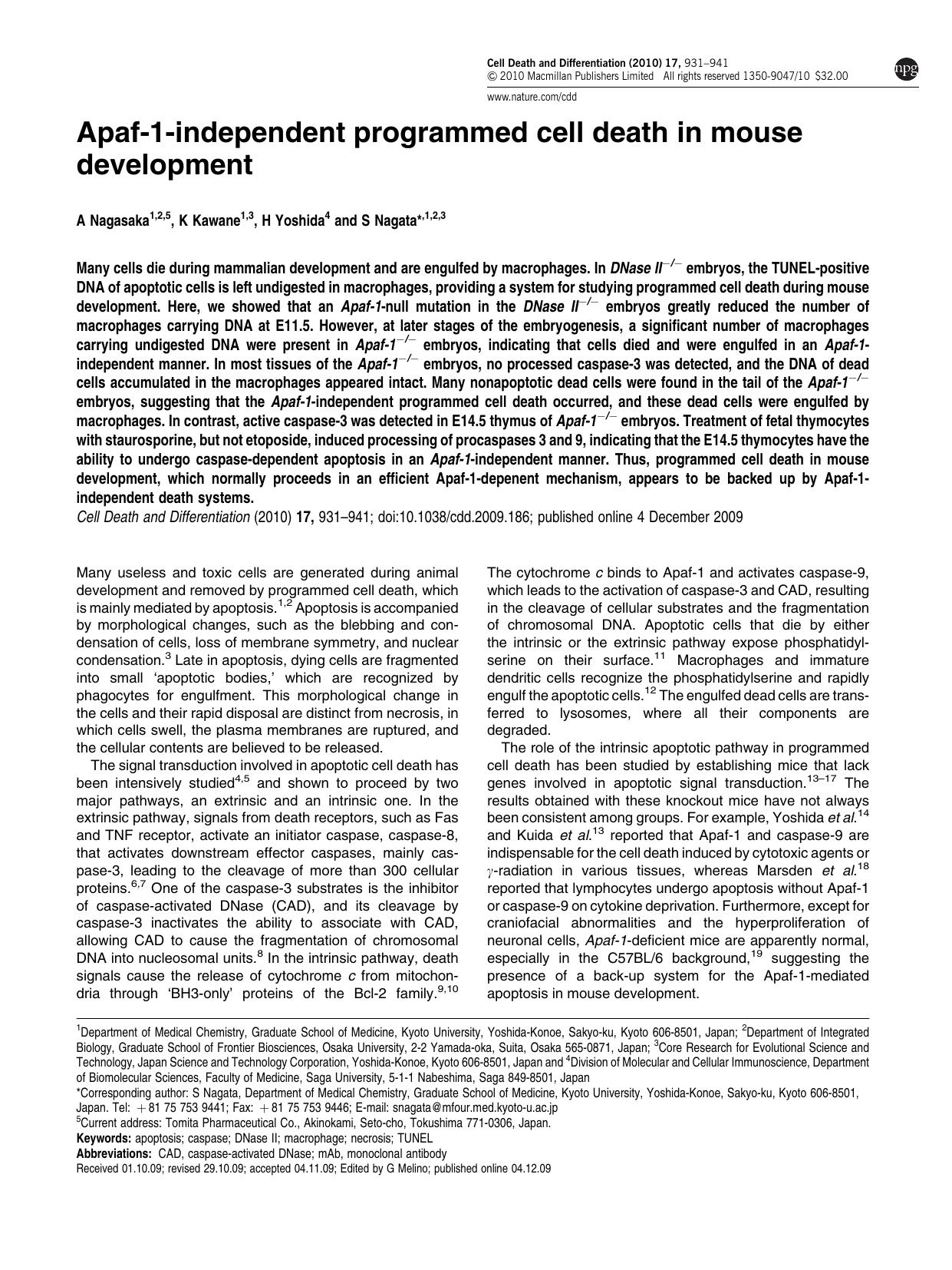 Apaf-1-independent programmed cell death in mouse development by A Nagasaka & K Kawane & H Yoshida & S Nagata