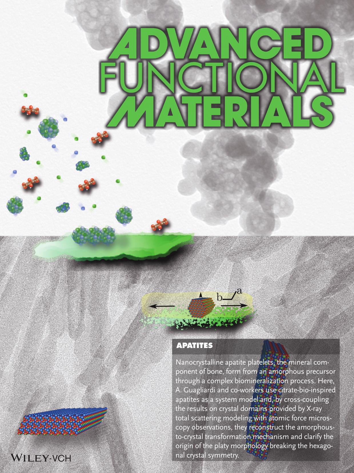 Apatites: Crystal Size, Morphology, and Growth Mechanism in BioInspired Apatite Nanocrystals (Adv. Funct. Mater. 82014) by Unknown