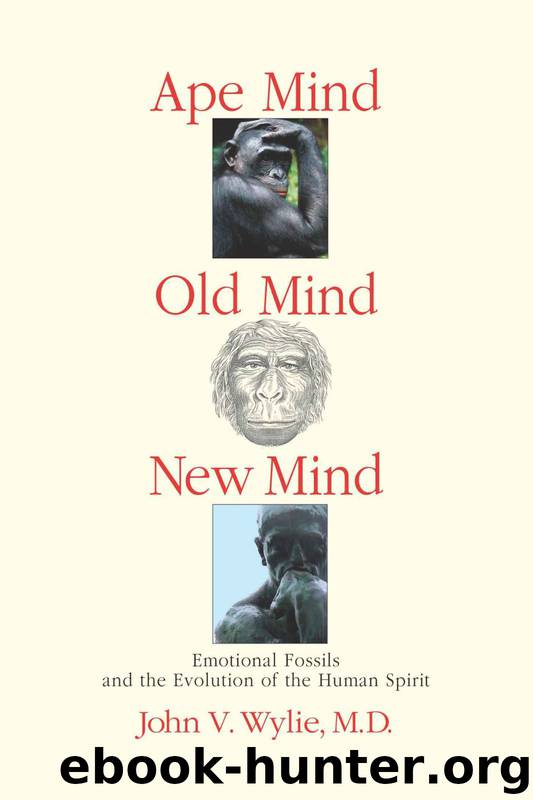 Ape Mind, Old Mind, New Mind: Emotional Fossils and the Evolution of the Human Spirit by John Wylie