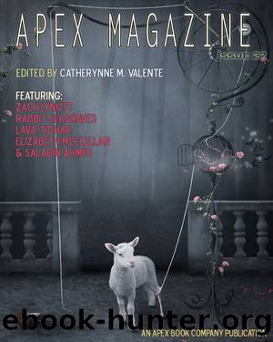 Apex Magazine Issue 27 by Unknown