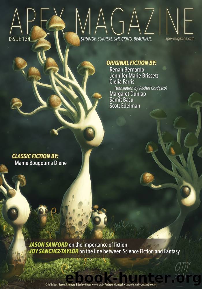 Apex Magazine, Issue 134 by Apex Magazine