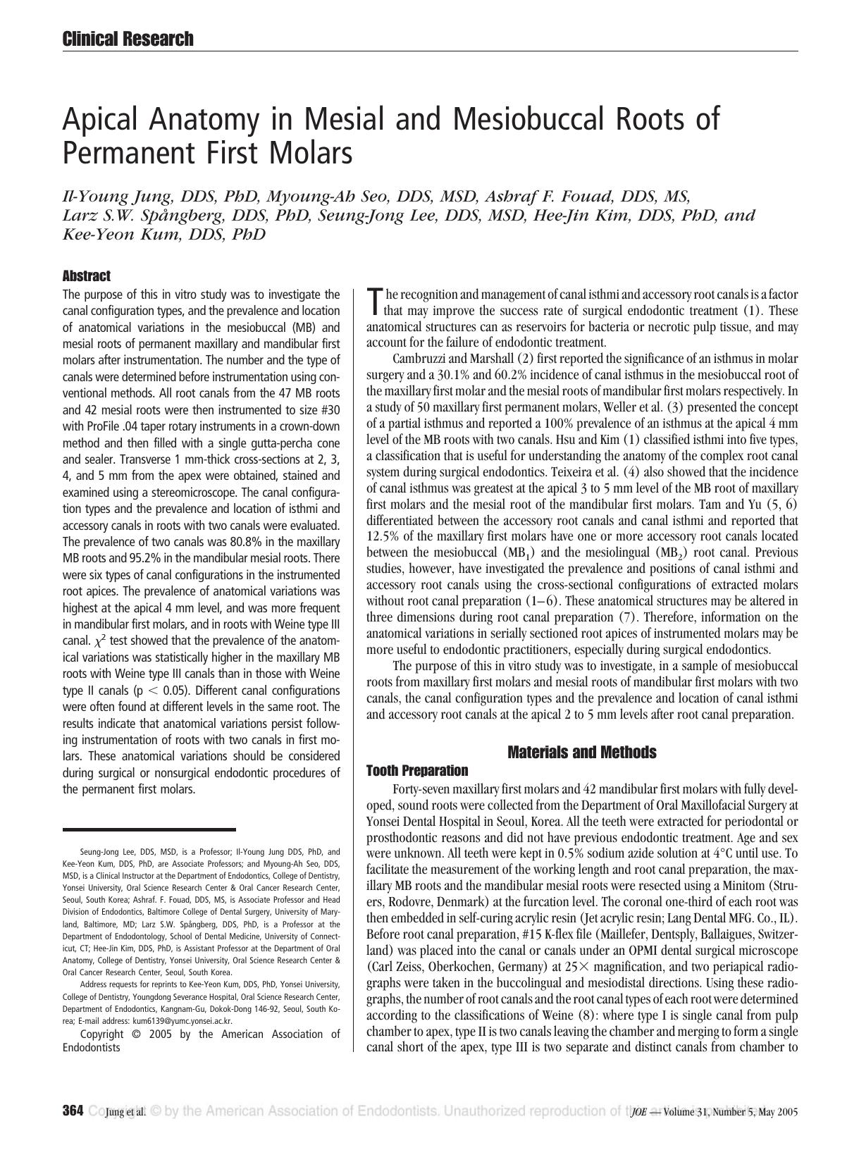 Apical Anatomy in Mesial and Mesiobuccal Roots by Unknown