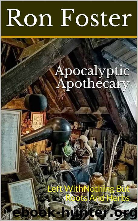 Apocalyptic Apothecary by Ron Foster