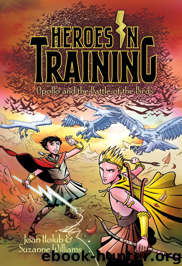 Apollo and the Battle of the Birds by Joan Holub