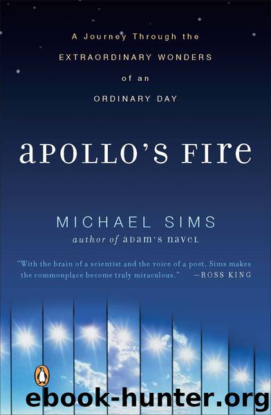 Apollo's Fire by Michael Sims