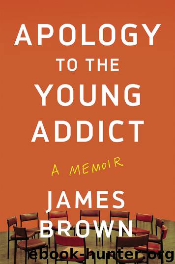 Apology to the Young Addict by James Brown