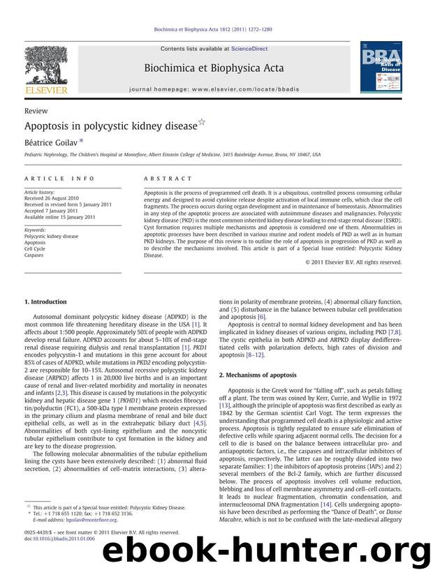 Apoptosis in polycystic kidney disease by Béatrice Goilav