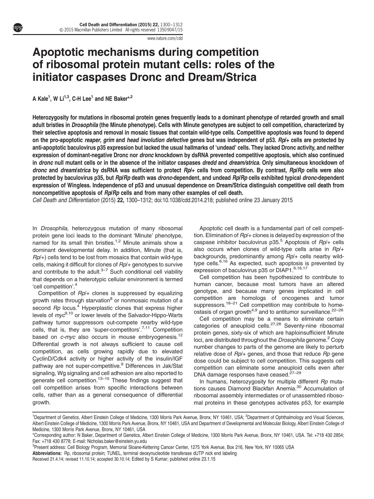 Apoptotic mechanisms during competition of ribosomal protein mutant cells: roles of the initiator caspases Dronc and Dream&sol;Strica by A Kale & W Li & C-H Lee & N E Baker &