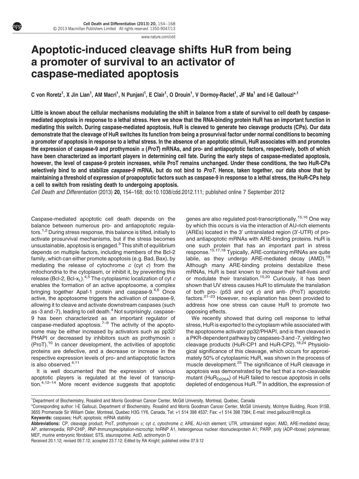 Apoptotic-induced cleavage shifts HuR from being a promoter of survival to an activator of caspase-mediated apoptosis by unknow
