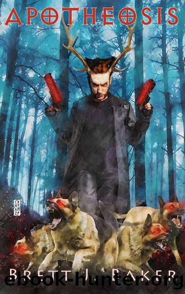 Apotheosis (The Neamhain Prophecy Book 2) by Brett J Baker