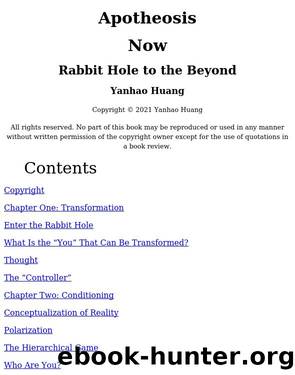 Apotheosis Now: Rabbit Hole to the Beyond by Unknown