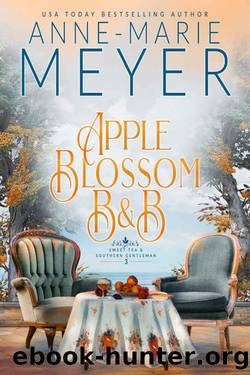 Apple Blossom B&B: A Sweet, Small Town, Southern Romance (Sweet Tea and a Southern Gentleman Book 3) by Anne-Marie Meyer