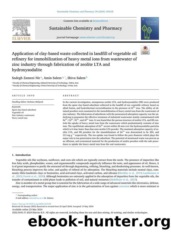 Application of clay-based waste collected in landfill of vegetable oil refinery for immobilization of heavy metal ions from wastewater of zinc industry through fabrication of zeoli by Sadegh Zameni Nir