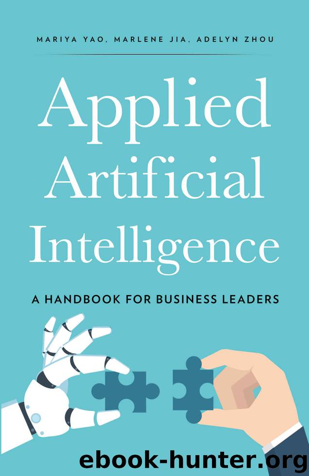 Applied Artificial Intelligence: A Handbook For Business Leaders by Mariya Yao & Adelyn Zhou & Marlene Jia