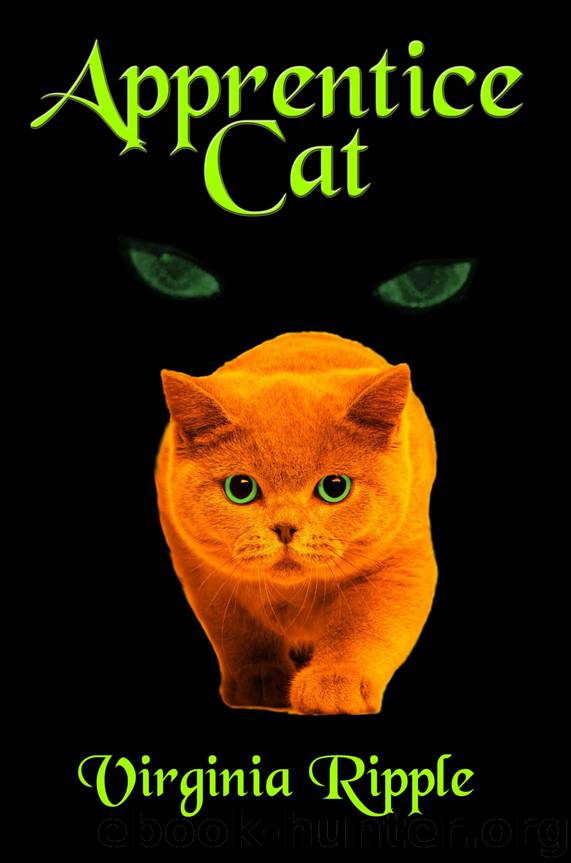Apprentice Cat: Toby's Tale Book 1 (Master Cat Series) by Ripple Virginia