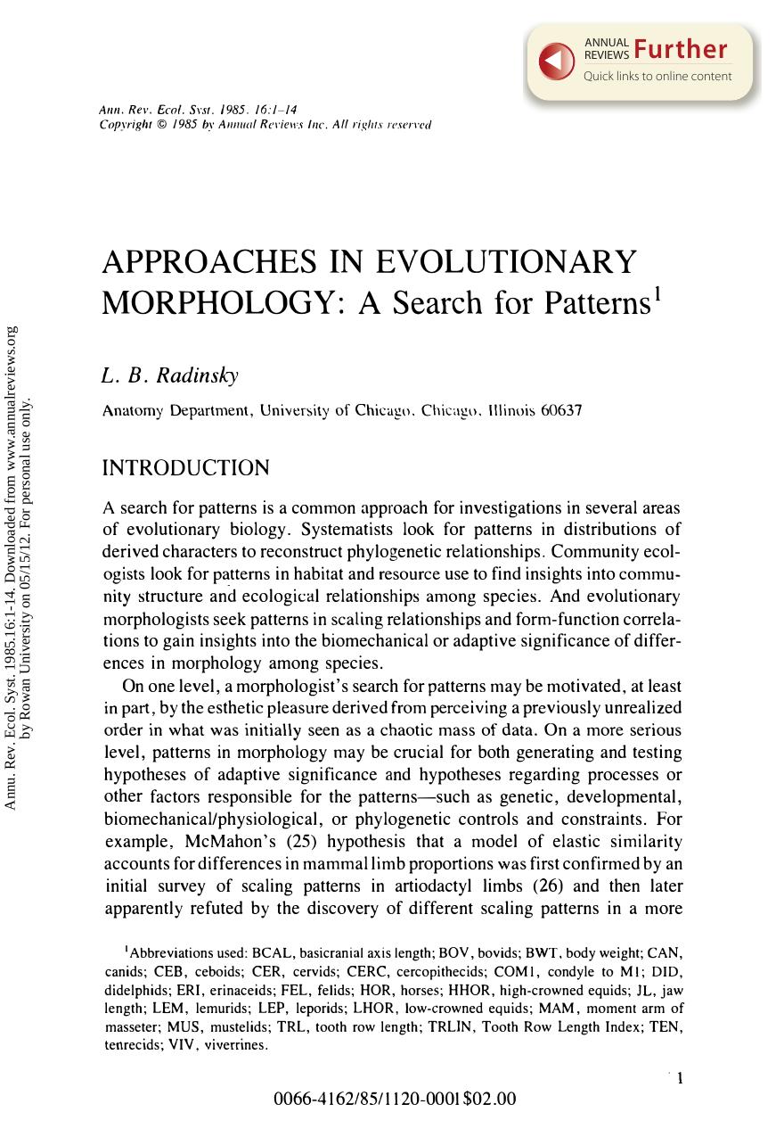 Approaches in Evolutionary Morphology: A Search for Patterns by L B Radinsky