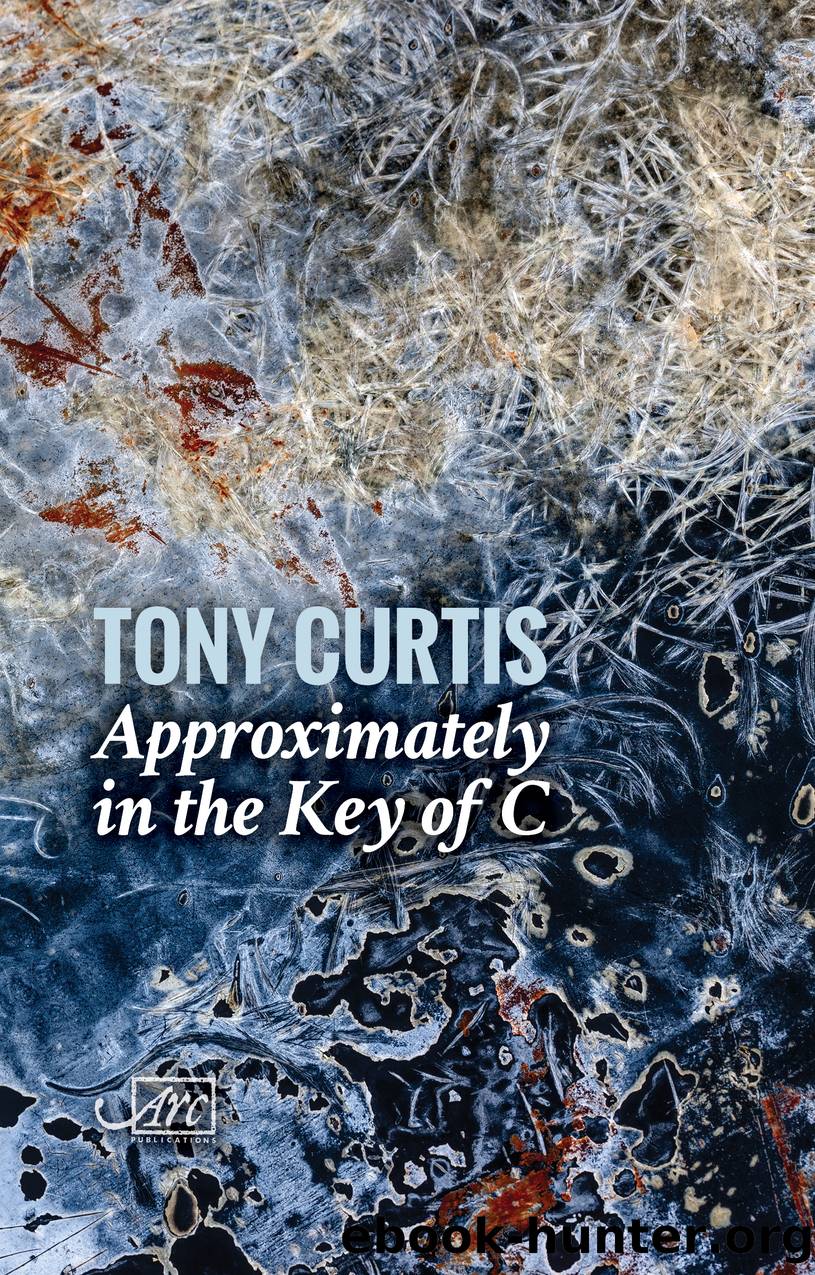 Approximately in the Key of C by Tony Curtis