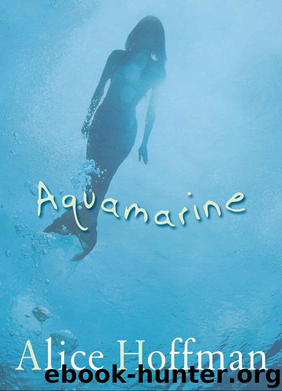 Aquamarine by Hoffman Alice