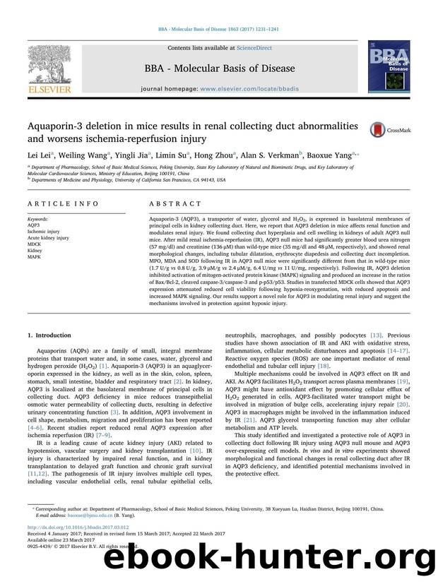 Aquaporin-3 deletion in mice results in renal collecting duct abnormalities and worsens ischemia-reperfusion injury by Lei Lei & Weiling Wang & Yingli Jia & Limin Su & Hong Zhou & Alan S. Verkman & Baoxue Yang