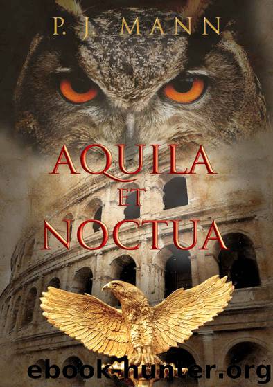 Aquila Et Noctua by P J Mann