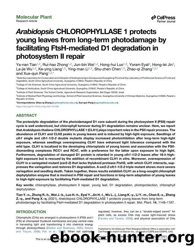 Arabidopsis CHLOROPHYLLASE 1 protects young leaves from long-term photodamage by facilitating FtsH-mediated D1 degradation in photosystem II repair by unknow