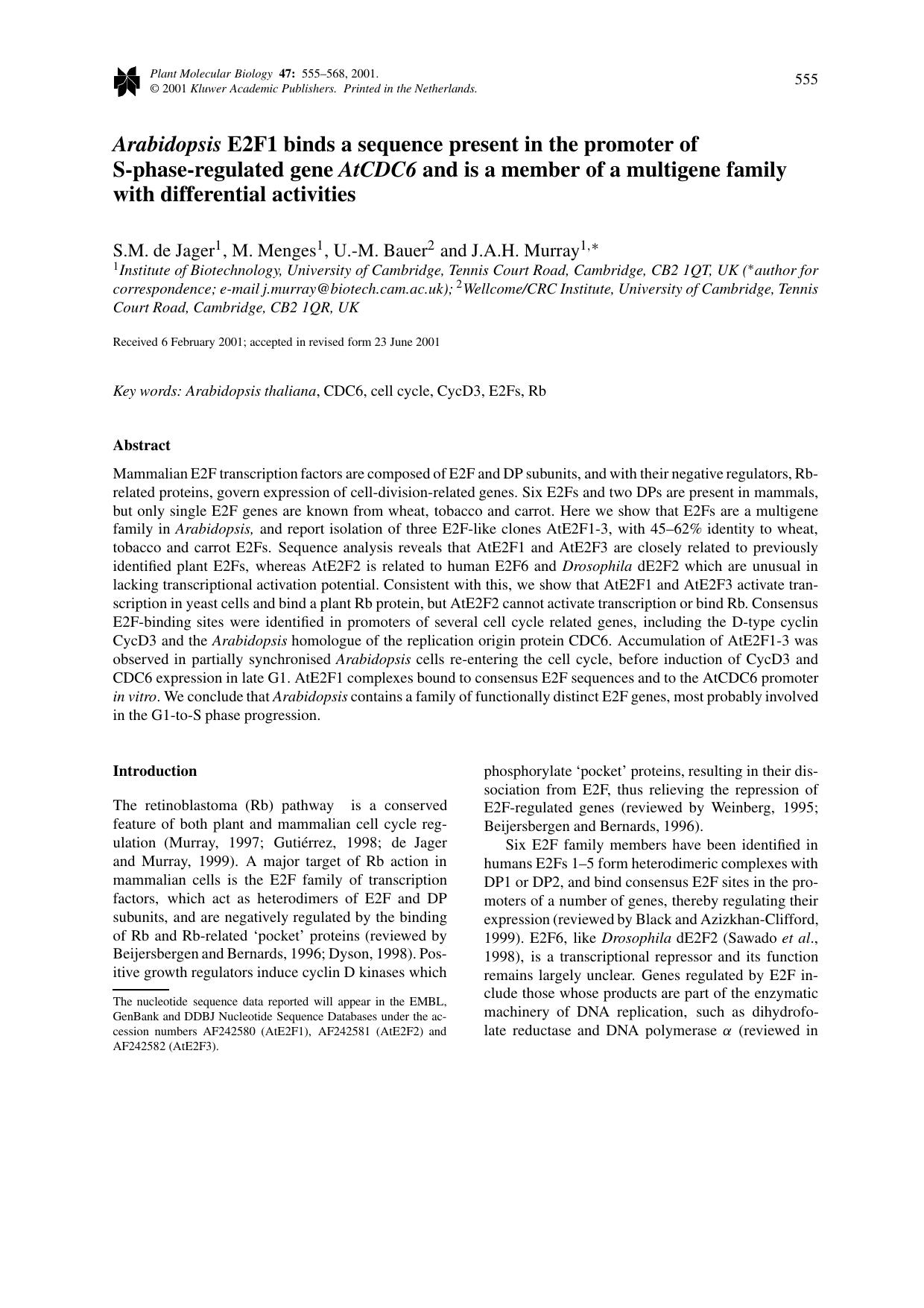 Arabidopsis E2F1 binds a sequence present in the promoter of S-phase-regulated gene AtCDC6 and is a member of a multigene family with differential activities by Unknown