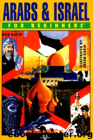 Arabs & Israel For Beginners by Ron David