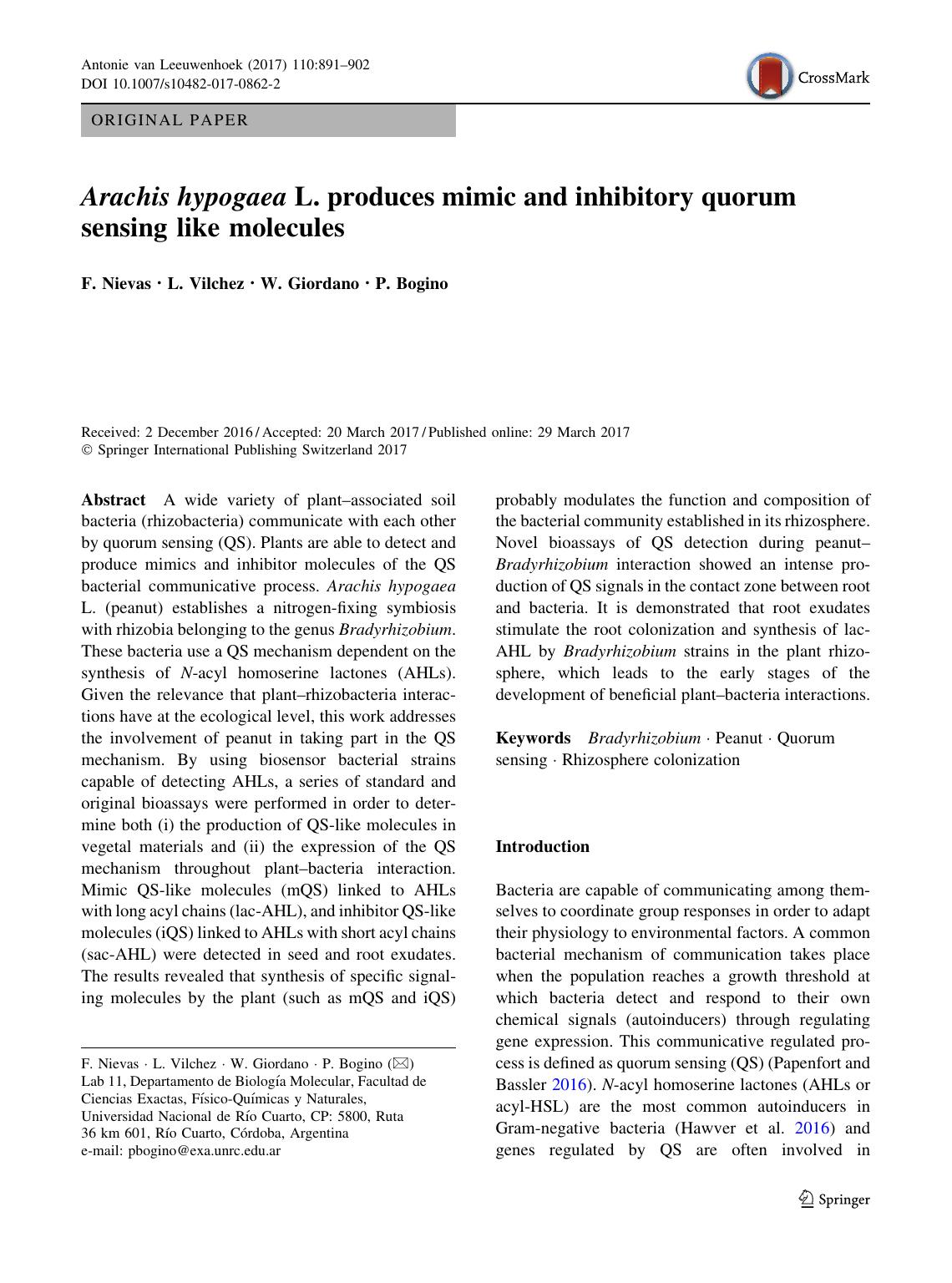 Arachis hypogaea L. produces mimic and inhibitory quorum sensing like molecules by F. Nievas & L. Vilchez & W. Giordano & P. Bogino