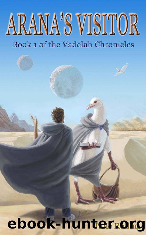 Arana's Visitor by Julie Rollins