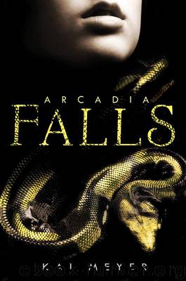 Arcadia Falls by Kai Meyer