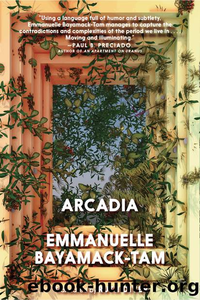 Arcadia by Emmanuelle Bayamack-Tam