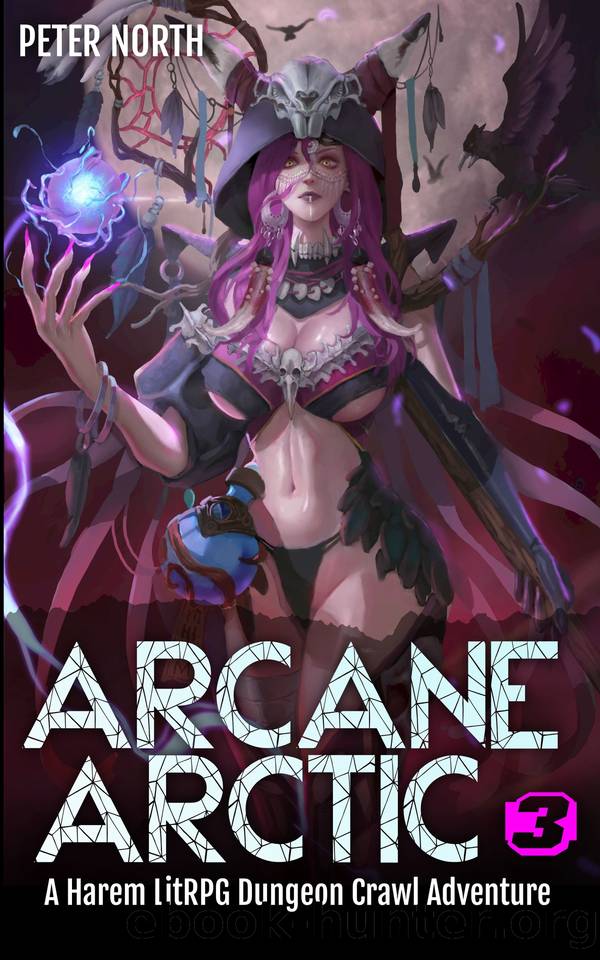 Arcane Arctic 3 by Peter North