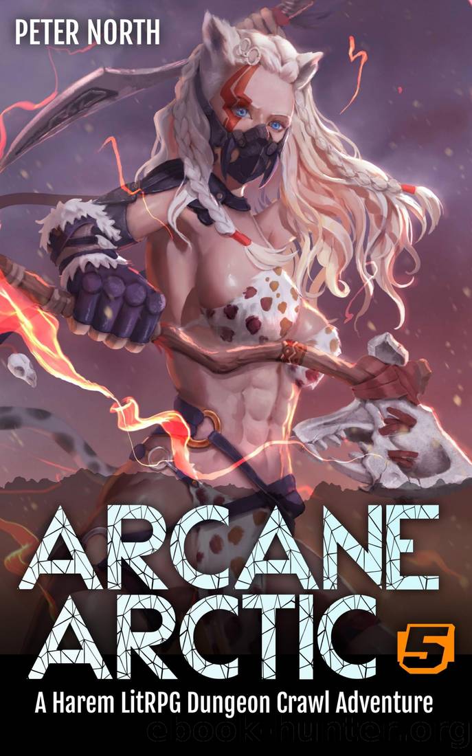 Arcane Arctic 5: A Harem LitRPG Dungeon Crawl Adventure by Peter North