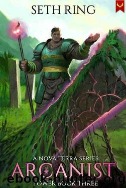 Arcanist: A LitRPG Adventure (Tower Book 3) by Seth Ring