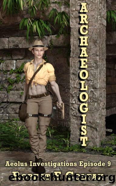 Archaeologist (Aeolus Investigations Book 9) by Robert E Colfax