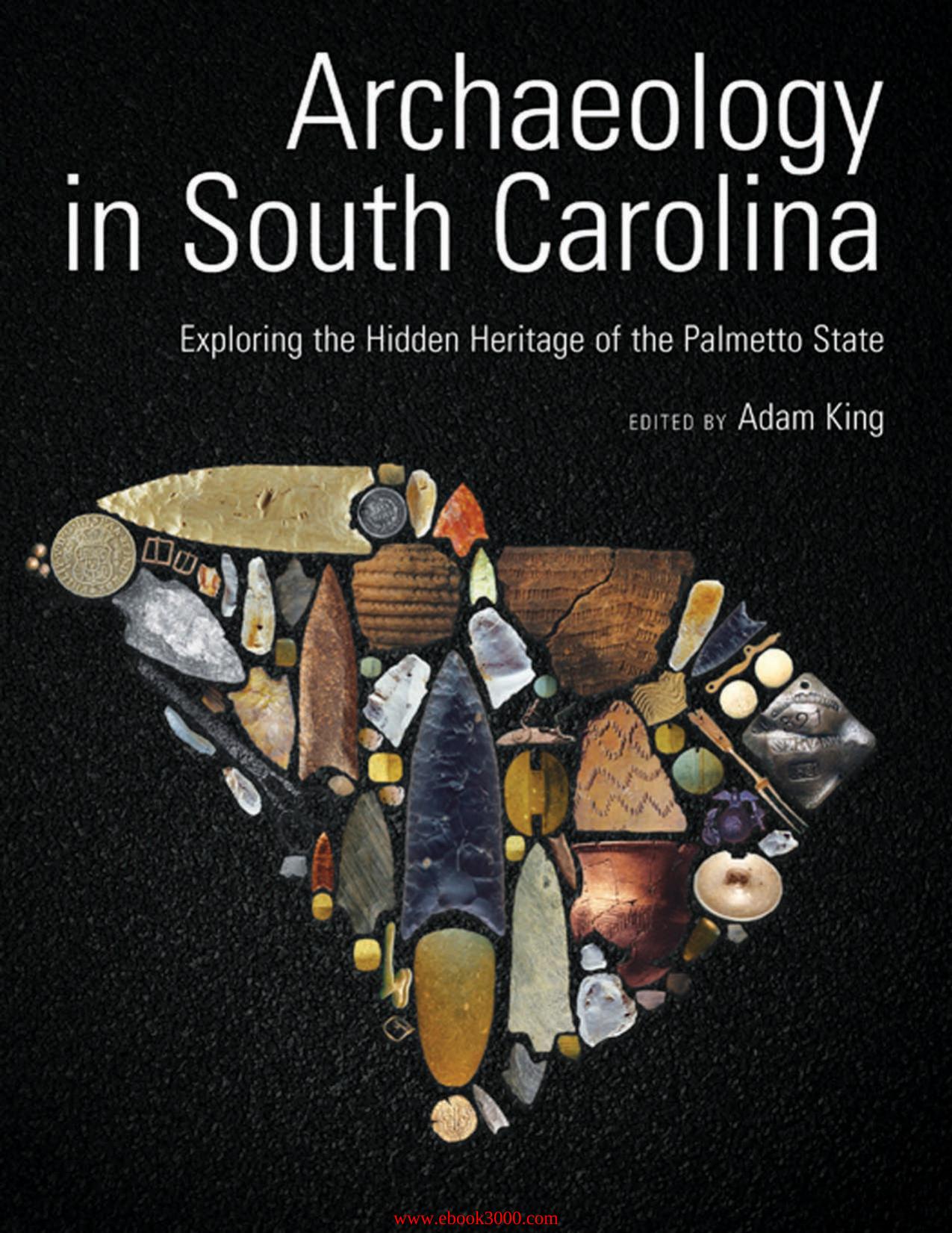 Archaeology in South Carolina Exploring the Hidden Heritage of the Palmetto State by Unknow