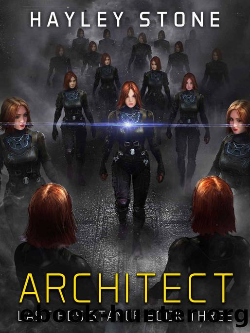 Architect (Last Resistance Book 3) by Hayley Stone